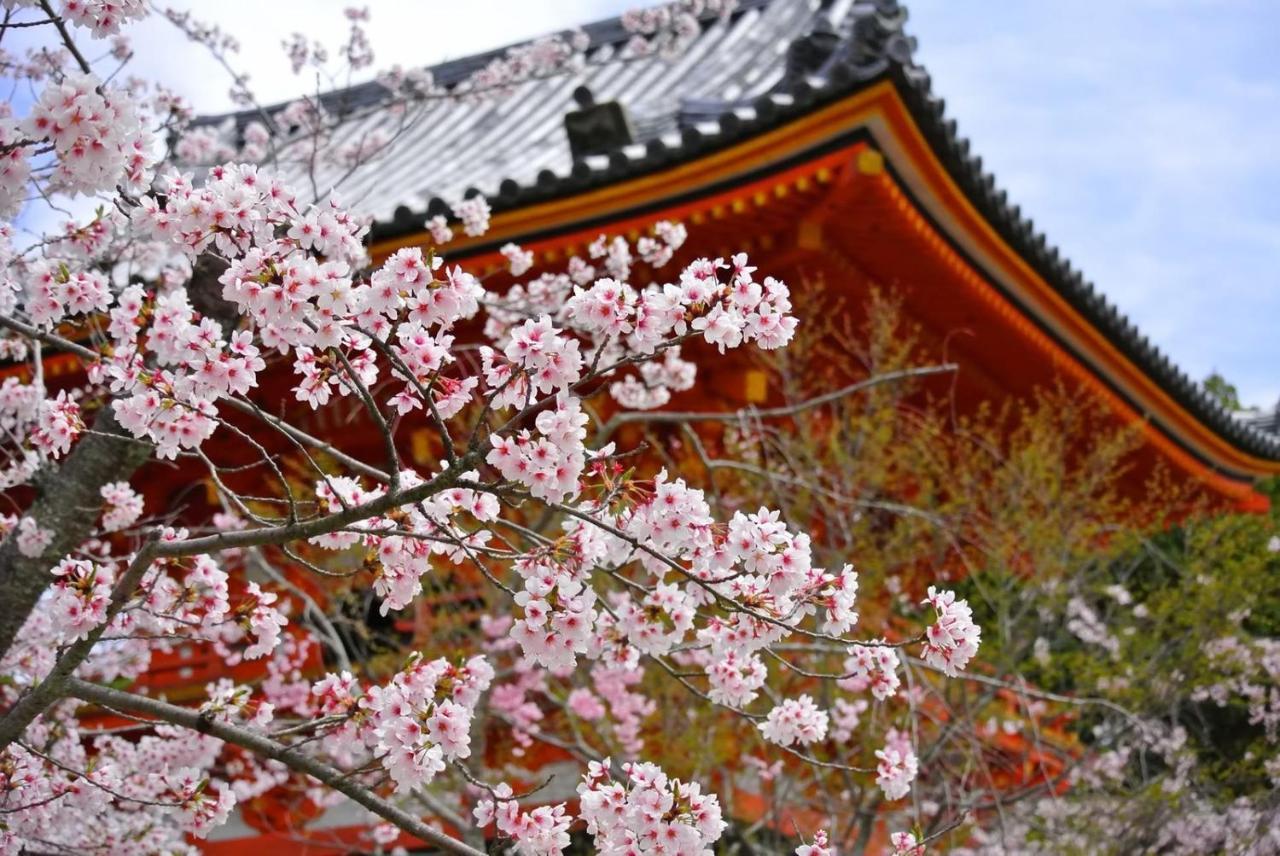 Stay Sakura Kyoto Tambaguchi Quioto Exterior foto